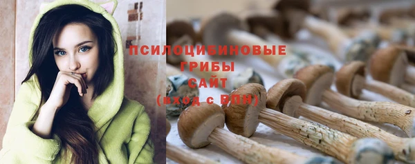 a pvp Абинск