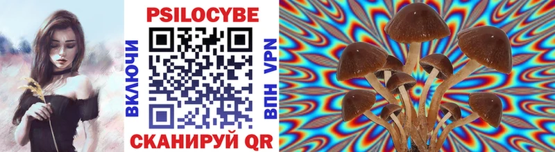 Псилоцибиновые грибы прущие грибы  наркошоп  hydra сайт  Фрязино 