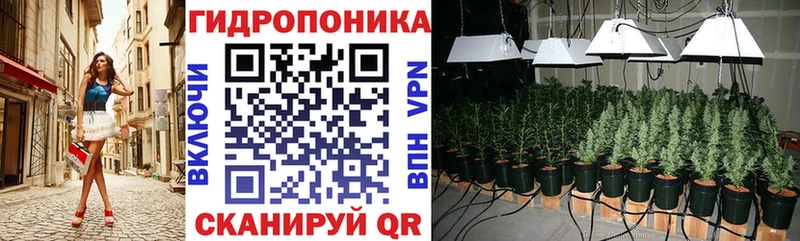 Бошки марихуана THC 21% OMG маркетплейс Фрязино
